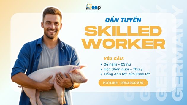 skilled worker- web.jpg